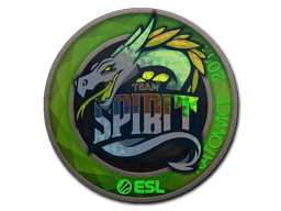 Klistermærke (Team Spirit holo Katowice 2019)