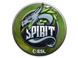 Klistermærke (Team Spirit Katowice 2019)
