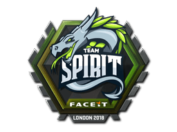Samolepky Team Spirit