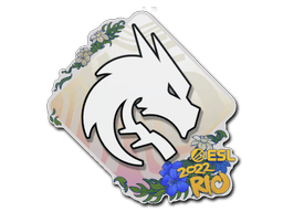 Adesivo (Team Spirit Rio 2022)