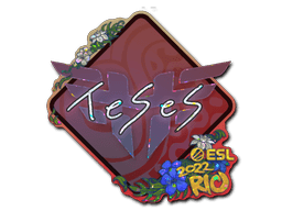 Klistermærke (TeSeS glitter Rio 2022)