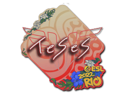 Samolepka (TeSeS IEM Rio 2022)