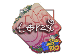 Samolepka (torzsi IEM Rio 2022)
