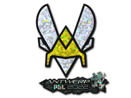 Klistermærke (Vitality glitter Antwerp 2022)