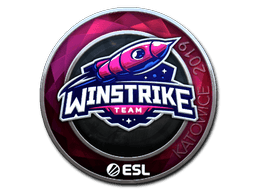 Klistermærke (Winstrike Team folie Katowice 2019)