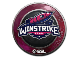 สติกเกอร์ (Winstrike Team Katowice 2019)