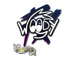 Samolepka (WOOD7 BLAST.tv Paris 2023)