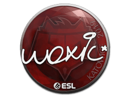 Klistermærke (woxic Katowice 2019)