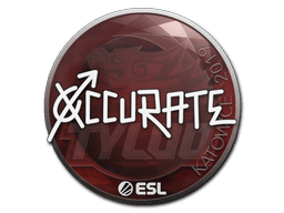 สติกเกอร์ (xccurate Katowice 2019)