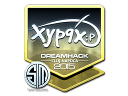 Klistermærke (Xyp9x folie Cluj-Napoca 2015)