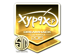 Adesivo (Xyp9x Oro Cluj-Napoca 2015)
